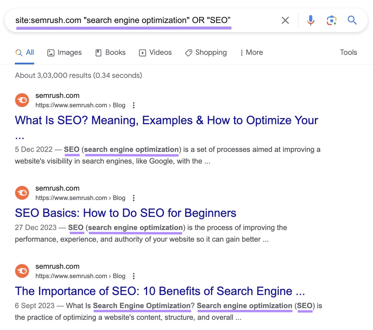 Google's SERP for "site:sr03.amzseller.tools "search engine optimization" OR "SEO”” site search