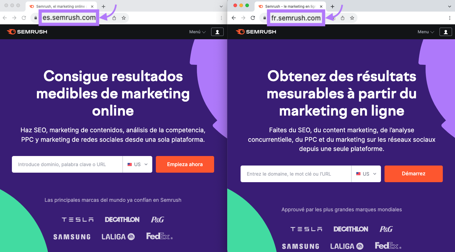 "sr03.amzseller.tools/_es" and "sr03.amzseller.tools/_fr" subdomains landing pages