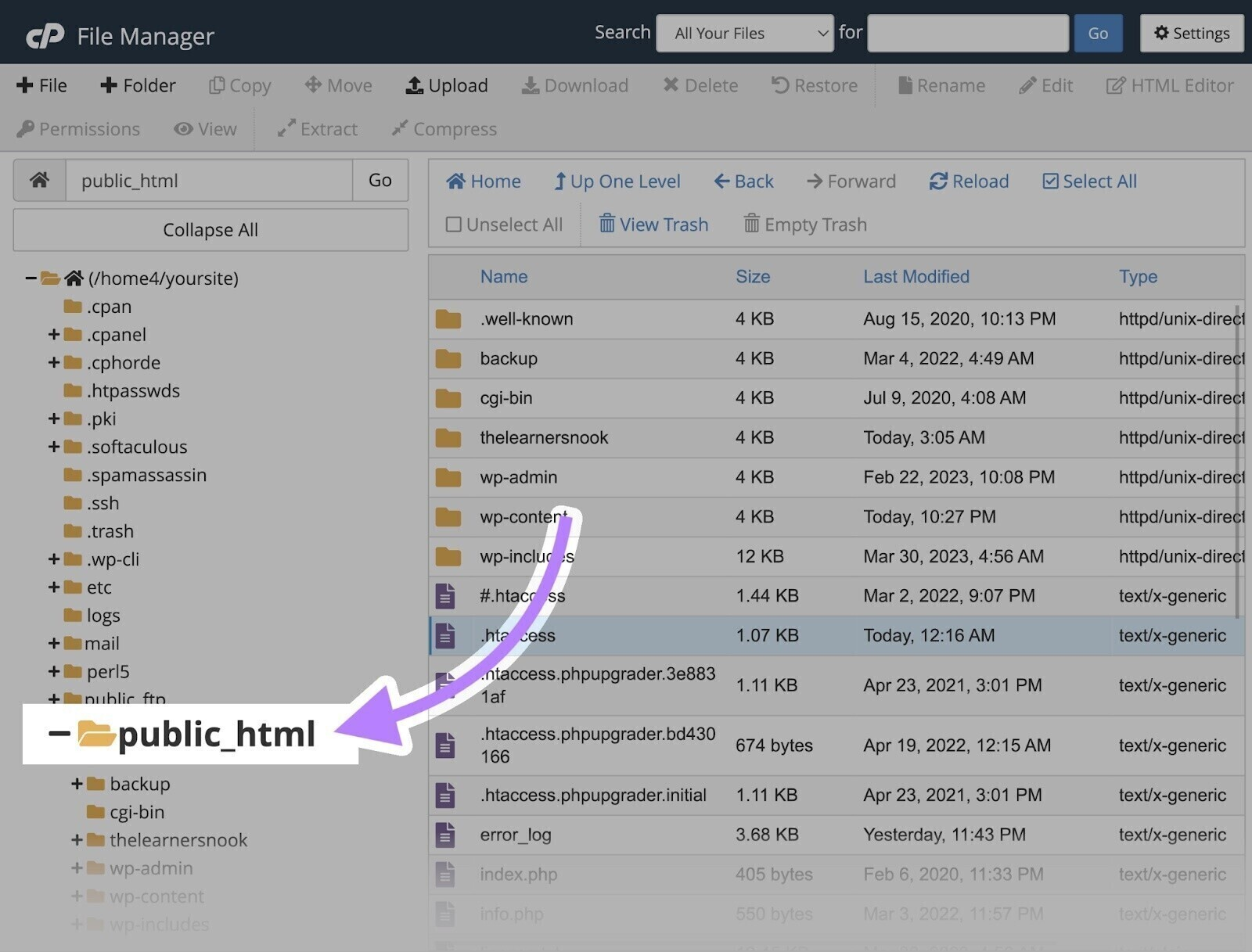 A site's root folder opened by clicking "public_html" on File Manager.
