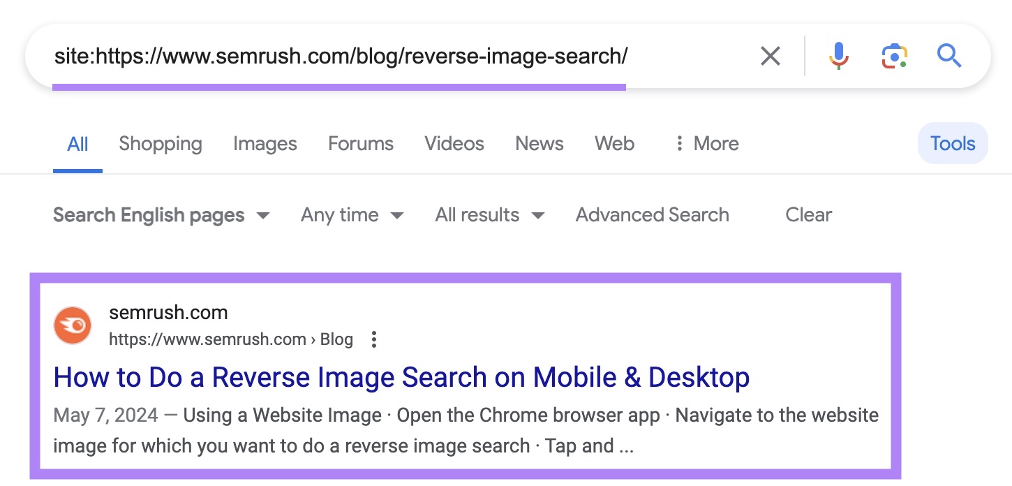 site search on Google for a specific page from "sr03.amzseller.tools" with the indexed result highlighted