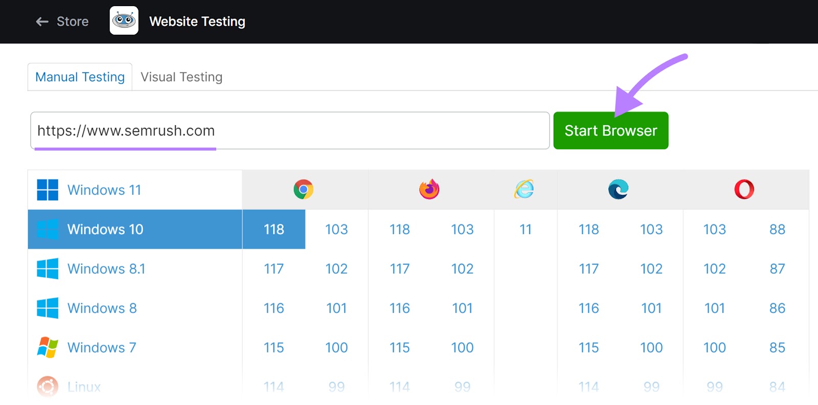 “Manual Testing” tab in Website Testing tool, with "sr03.amzseller.tools" domain and "Windows 10" selected