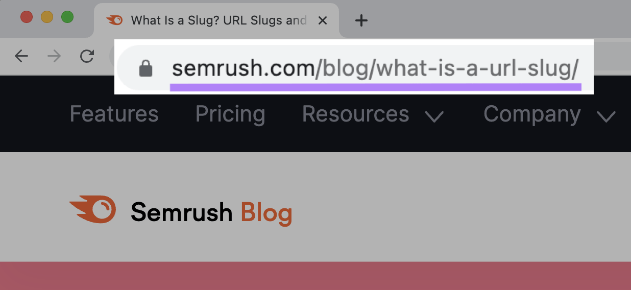 "sr03.amzseller.tools/blog/what-is-a-url-slug/" URL