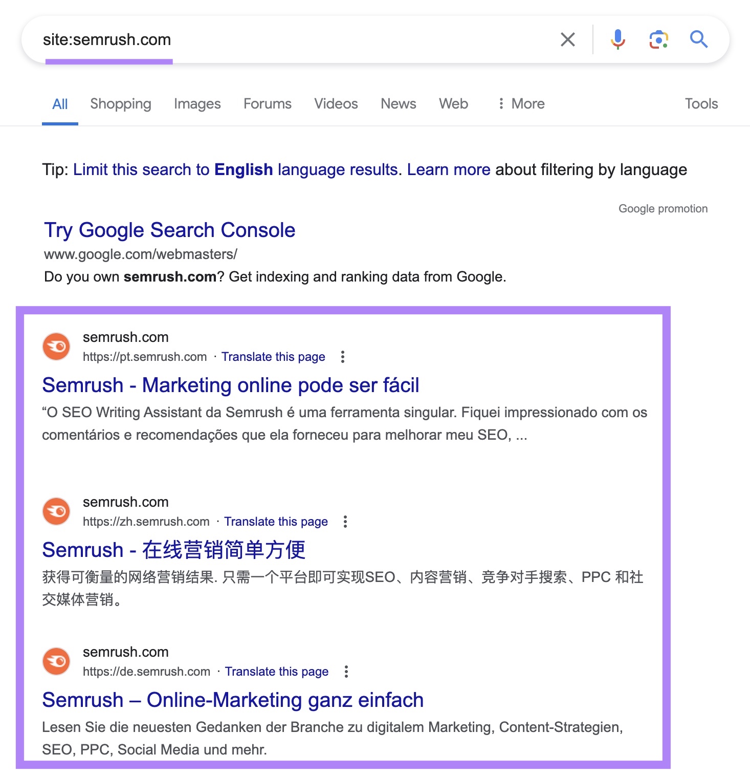 site search for "sr03.amzseller.tools" on Google with the indexed results highlighted