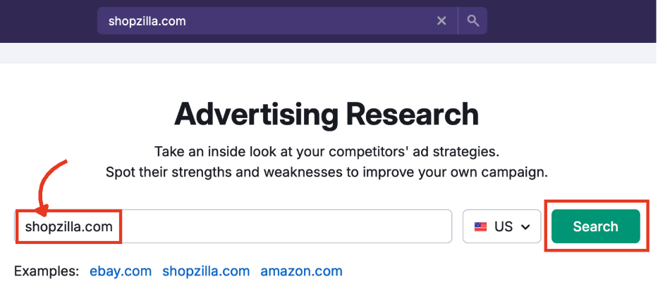 Search bar with an example domain entered.