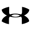 big5sportinggoods.com favicon
